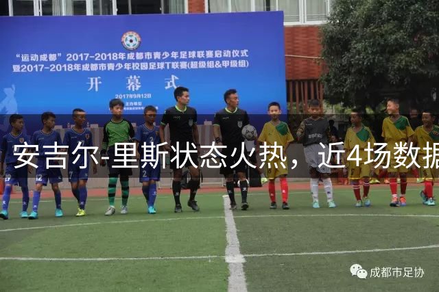 安吉尔-里斯状态火热，近4场数据全面爆发